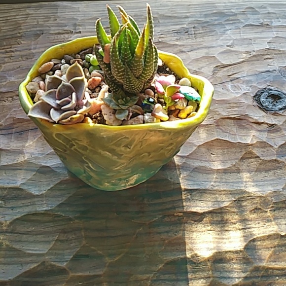 Meet your Posher, Lauren - Picture 2 of 2